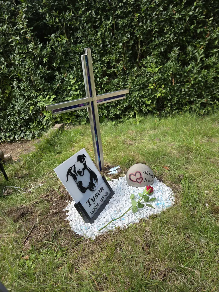Bild von Tyson