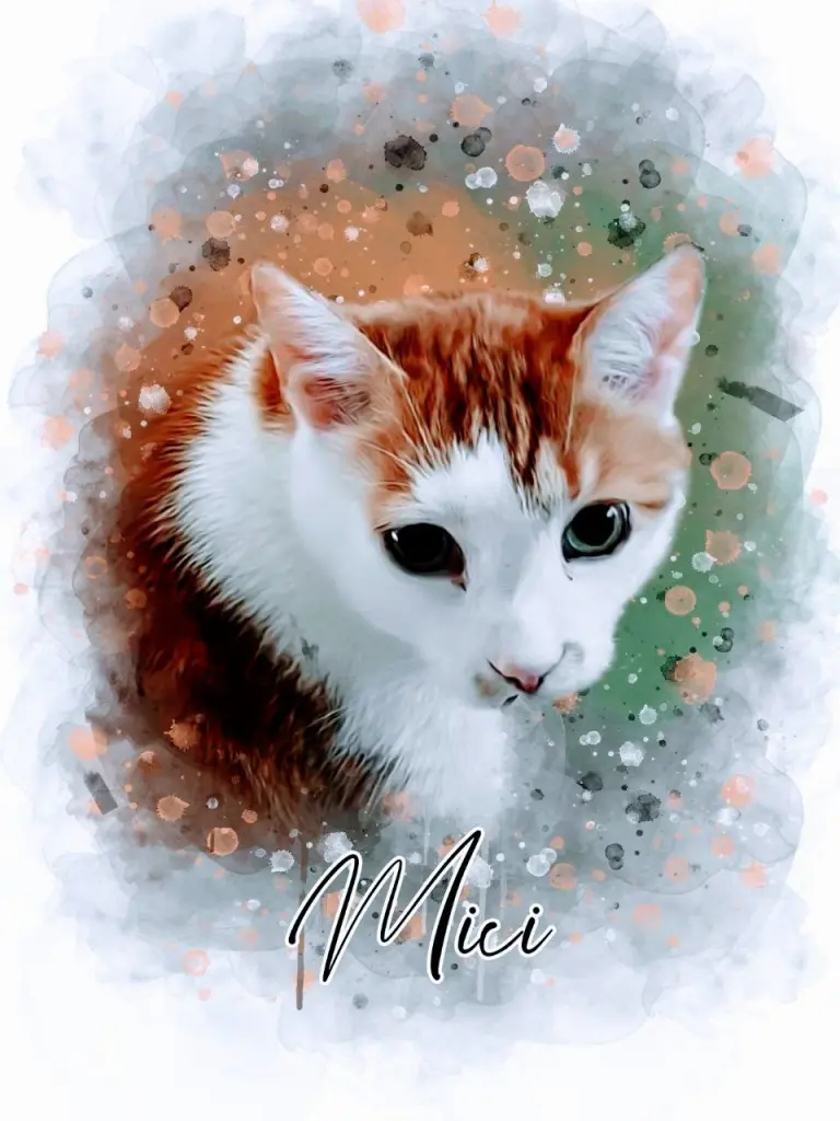 Image from Miki