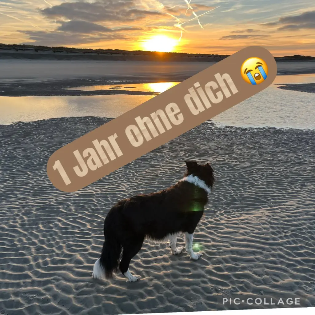Image from Sinka