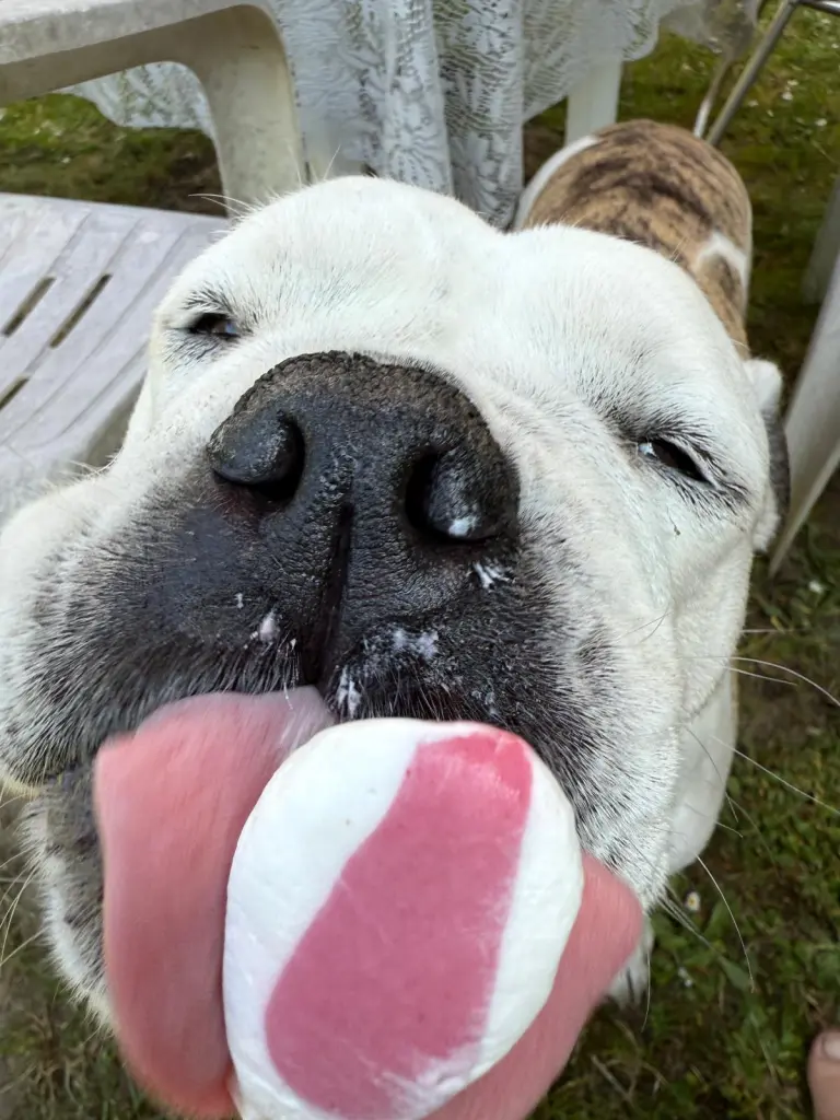 Bild von Molly