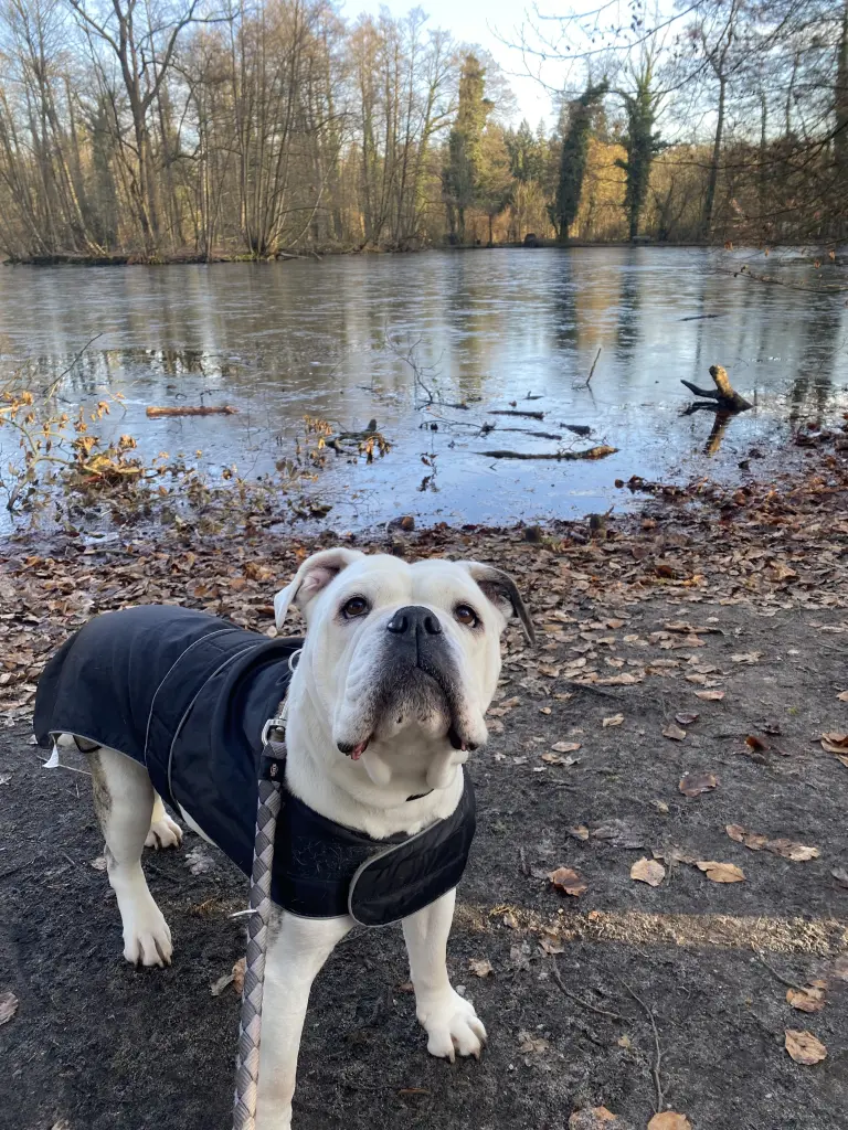 Bild von Molly
