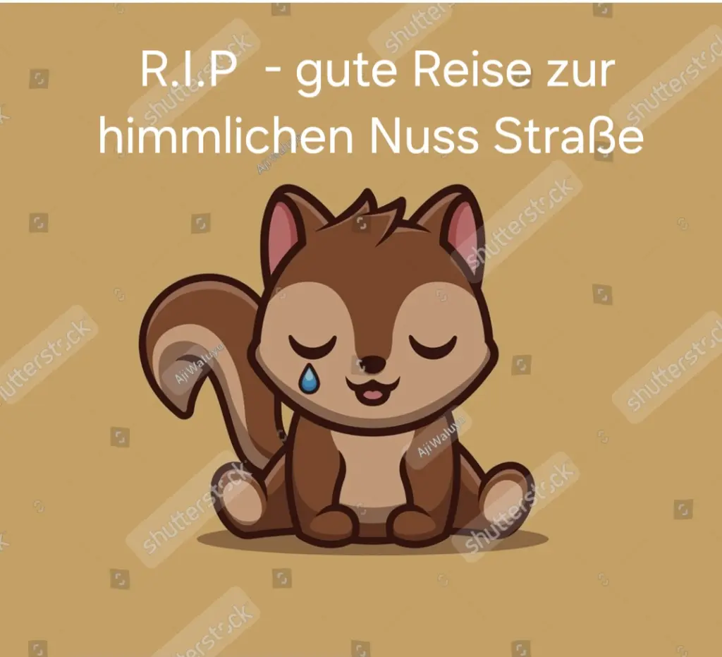 Condolence image of Elke Schmitz