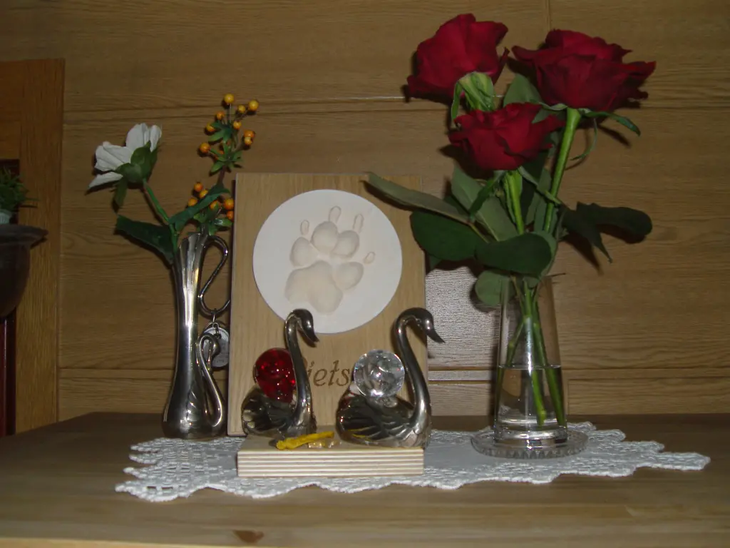 Condolence image of Dein Frauchen