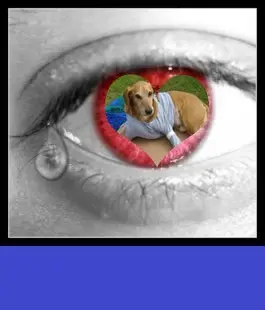 Condolence image of ❤️❤️❤️