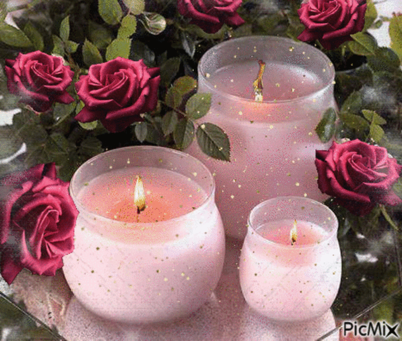 Condolence image of Jeannette mit Sisi und Lissy im ❤️