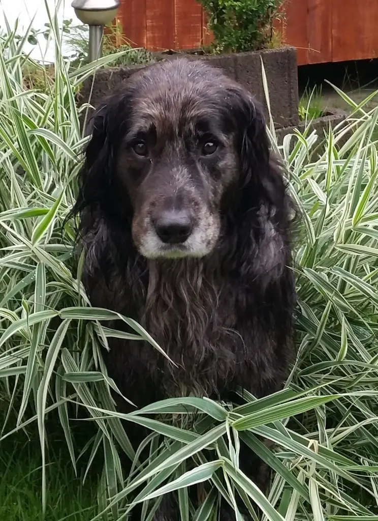 Condolence image of Rainer