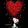 Condolence image of Snoopy ❤Pünktchen 