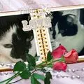 Condolence image of Annemarie und Elke mit Snoopy im Herzen gest.04.01.2022 und Pünktchen 