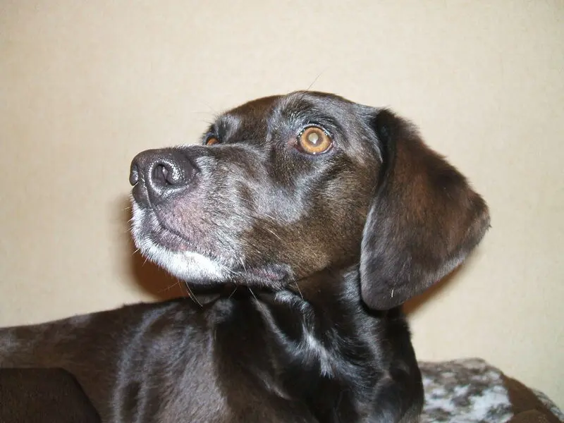 Condolence image of Erika Cremer