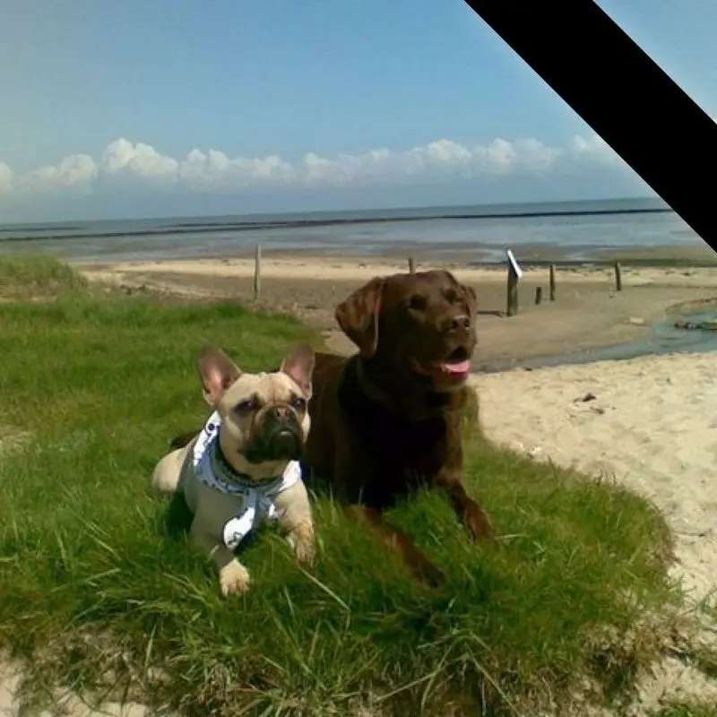Condolence image of Kirsten 