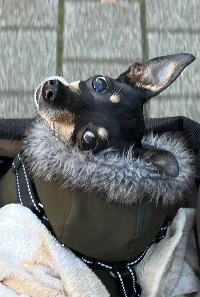Condolence image of Deine Mama