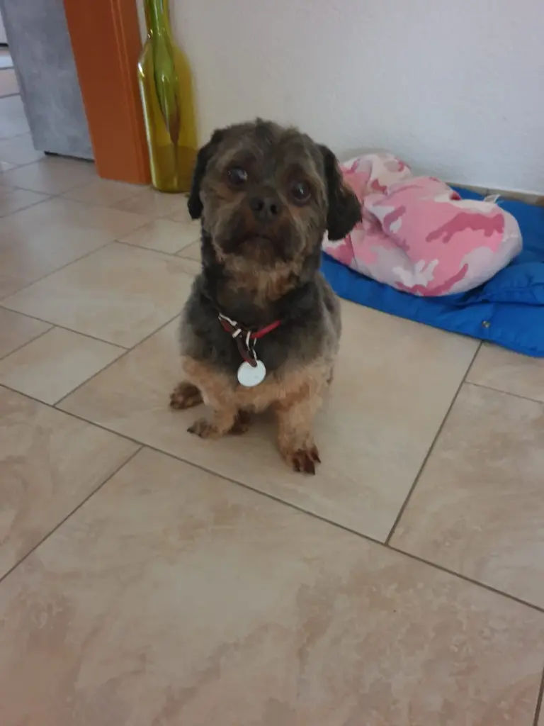nach friseurbesuch