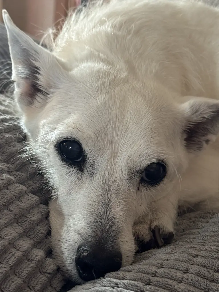 🥰
