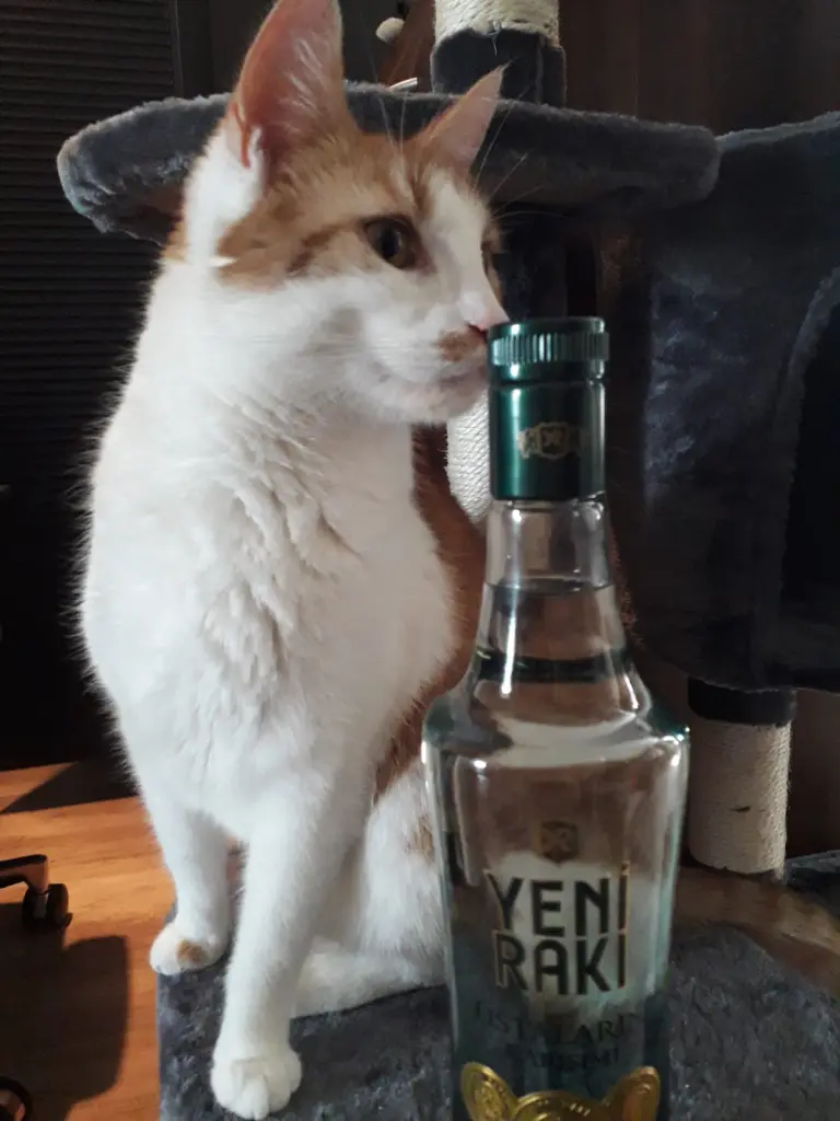 Image from Rakı