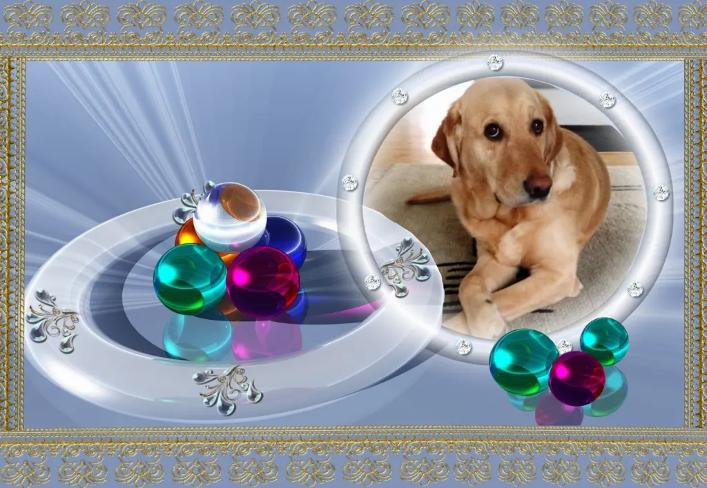 Andachtsbild von Klaudia mit Misiu❤❤❤Ganz Tief im Herzen❤