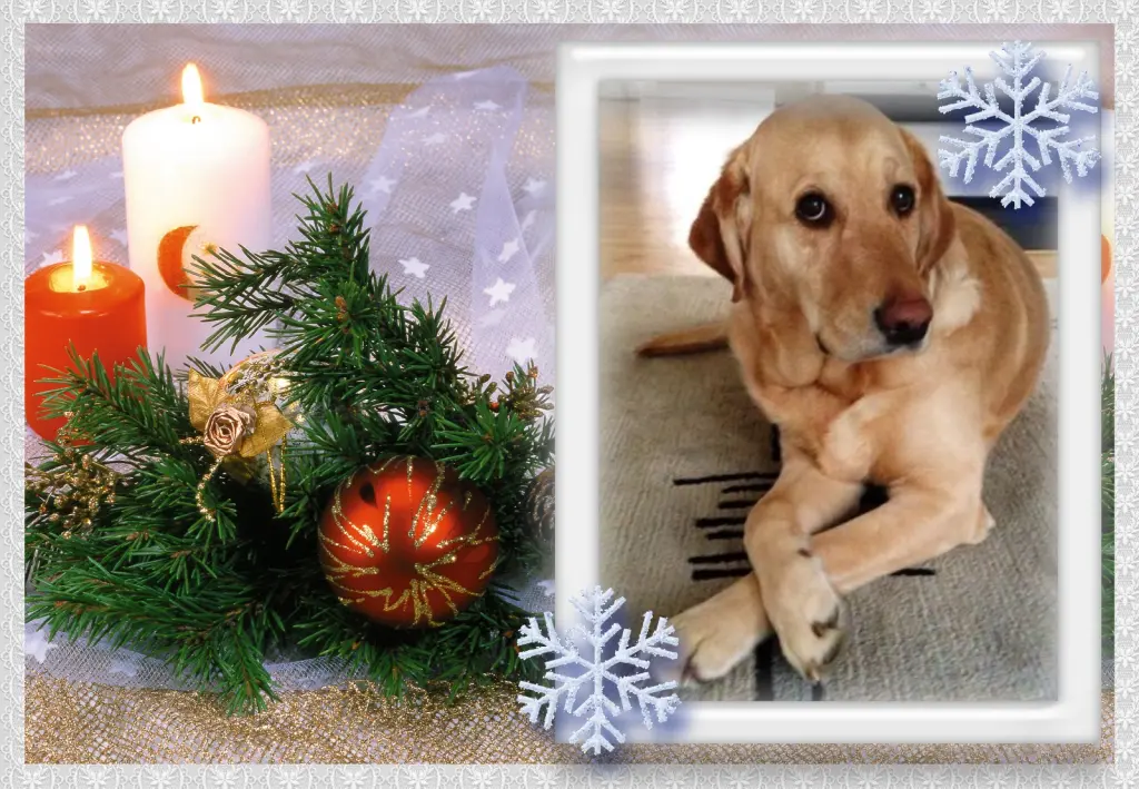 Andachtsbild von Klaudia mit Misiu❤❤❤Ganz Tief im Herzen❤