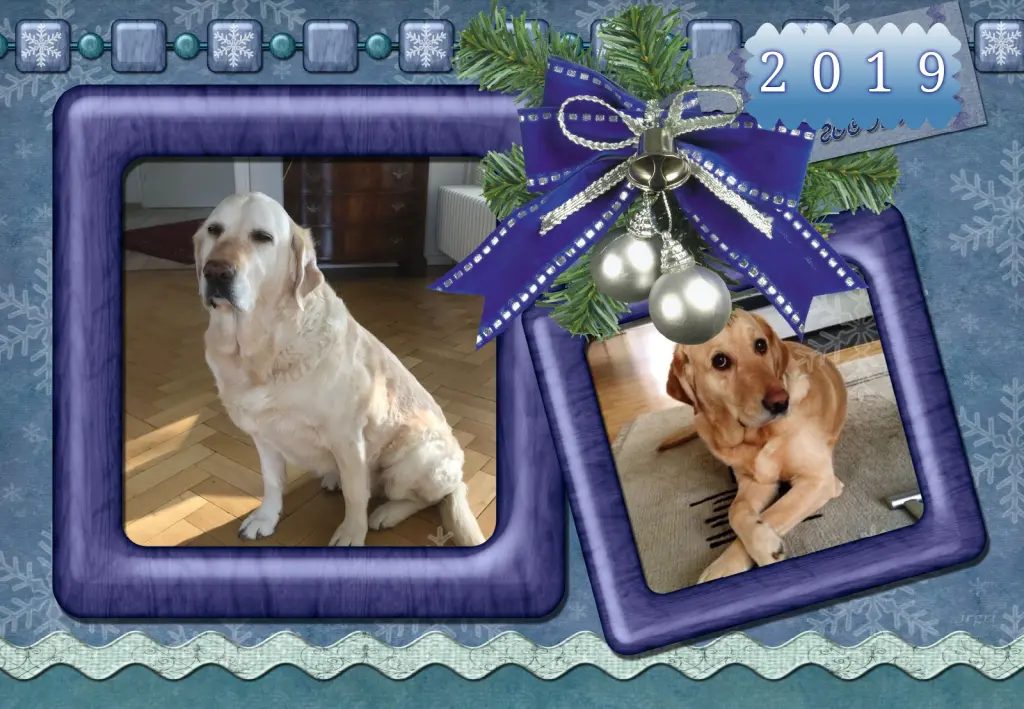 Andachtsbild von Klaudia mit Misiu❤❤❤Ganz Tief im Herzen❤