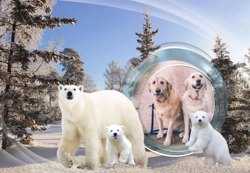 Andachtsbild von Klaudia mit Misiu❤❤❤Ganz Tief im Herzen❤