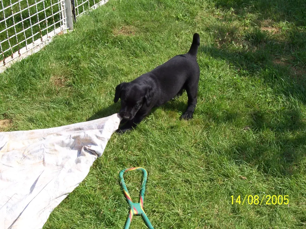 Andachtsbild von Unbekannt