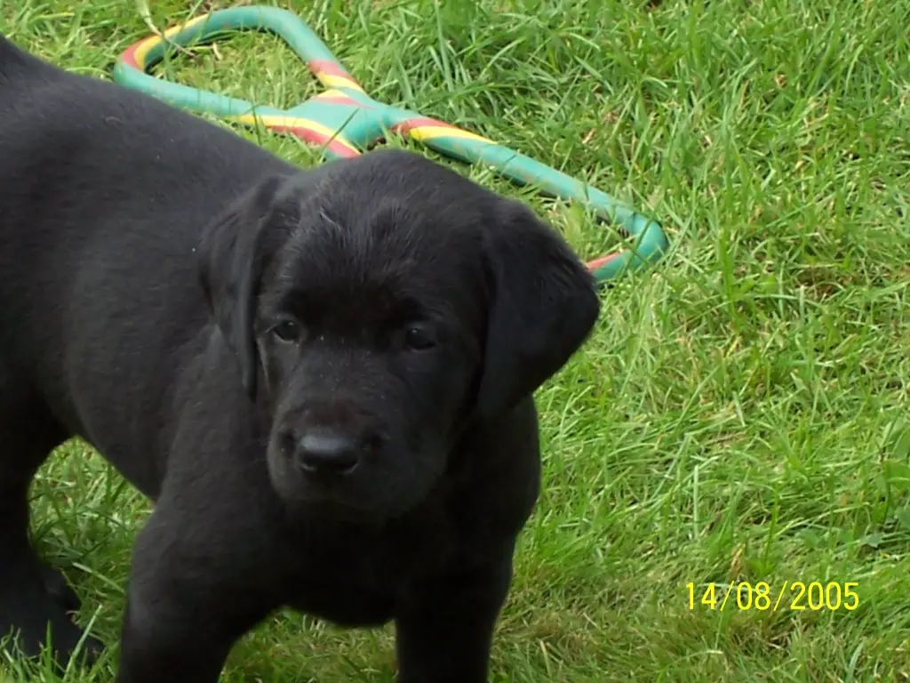 Andachtsbild von Evelyn mit Nele und Lara tief im Herzen
