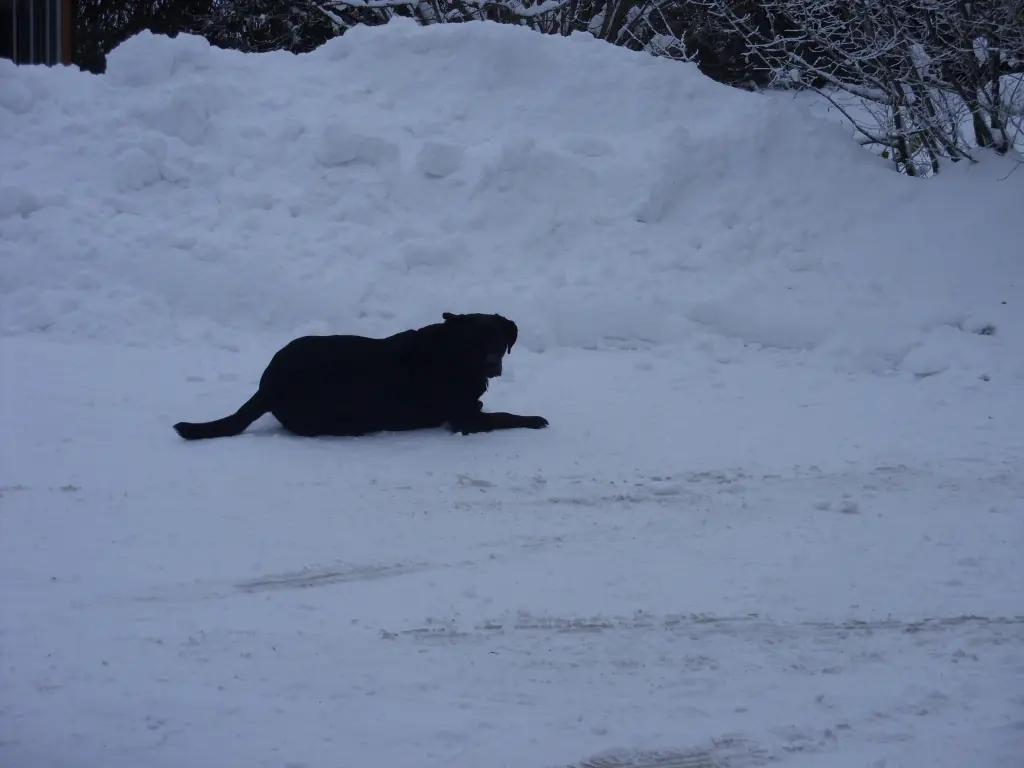 Andachtsbild von Evelyn mit Lara und Nele ganz tief im Herzen