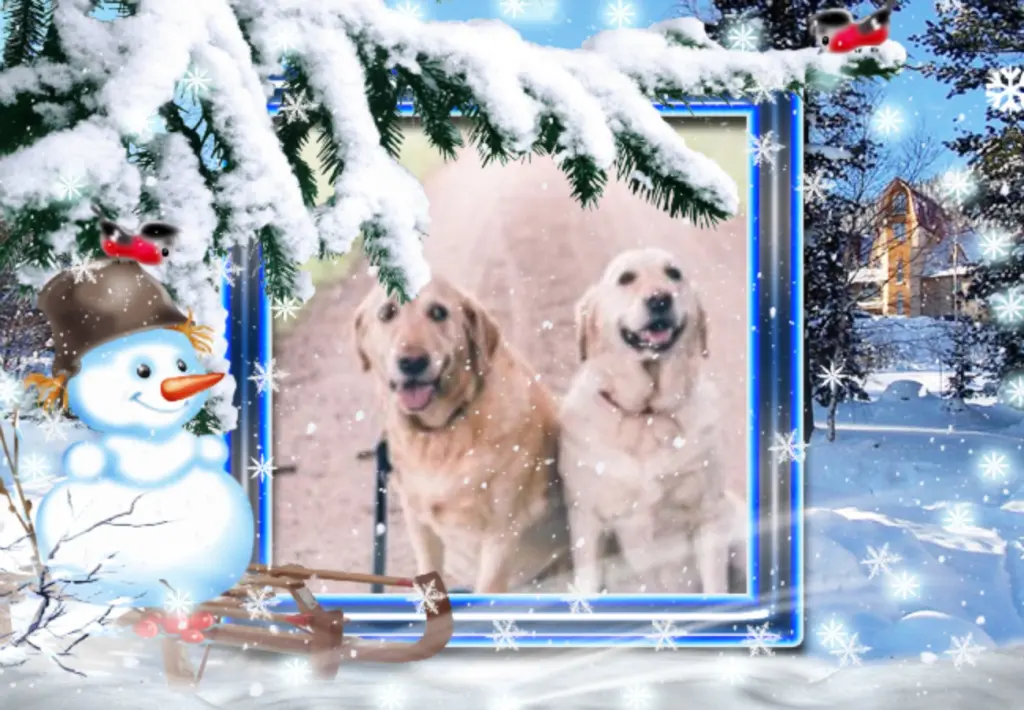 Andachtsbild von Guten Abend❤️