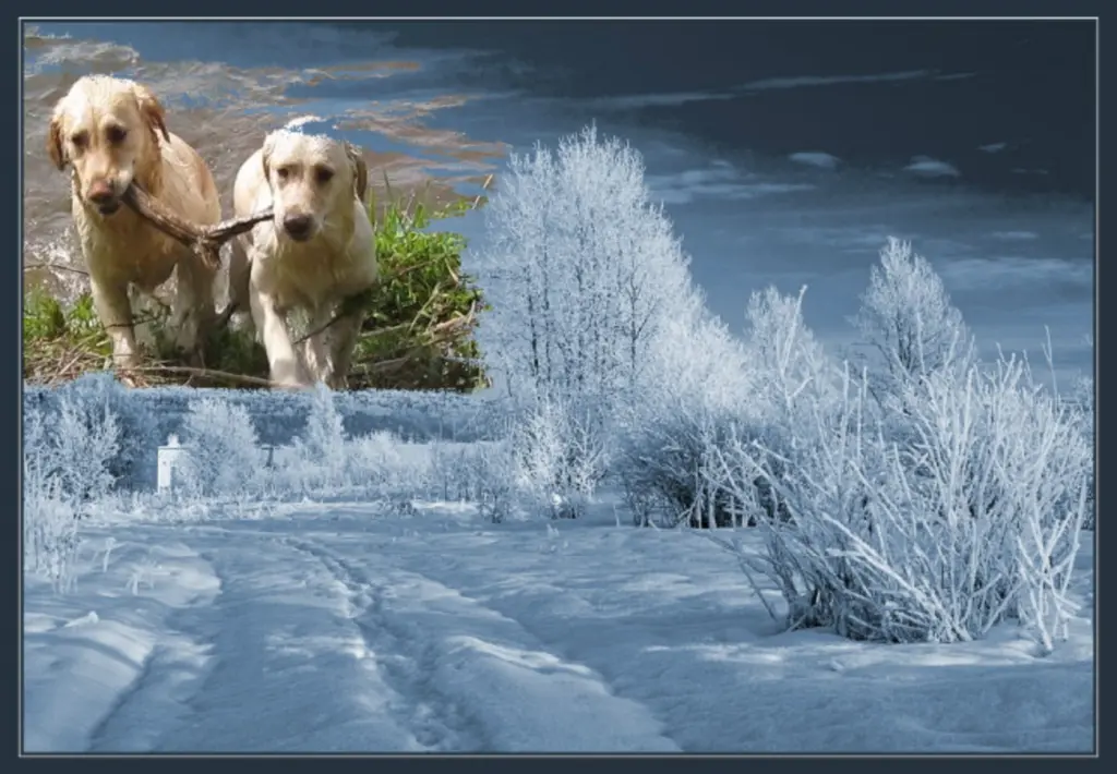 Andachtsbild von Fur Emma❤️