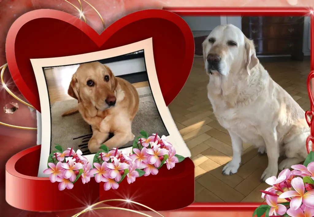 Andachtsbild von Liebe Emma❤️