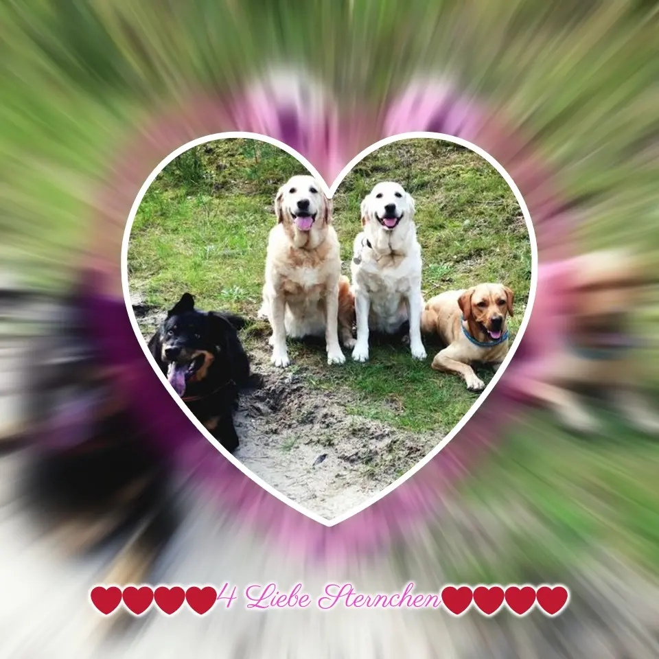 Andachtsbild von ❤️❤️❤️❤️