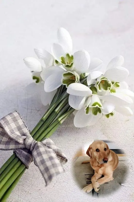 Andachtsbild von Liebe Emma❤️