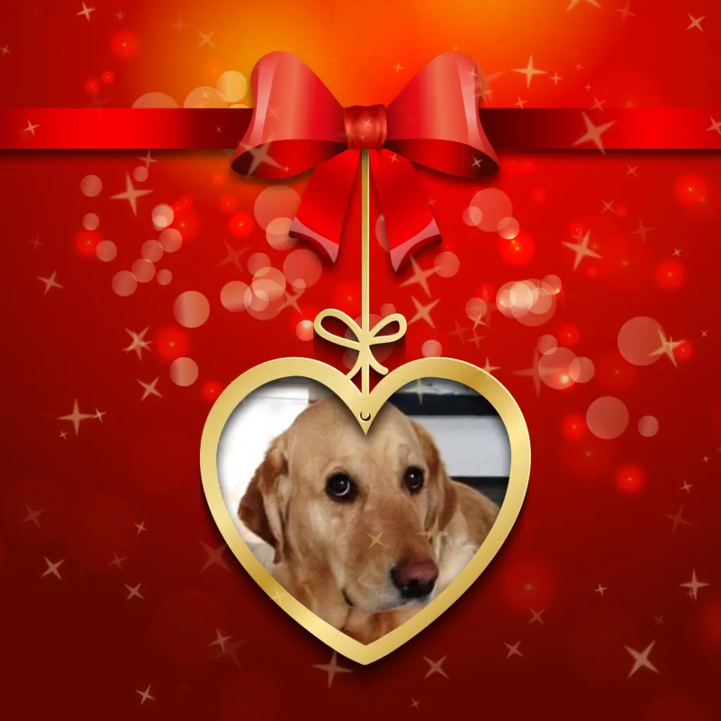 Andachtsbild von Liebe Emma❤️