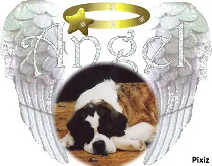 Andachtsbild von ❤️Dora❤️