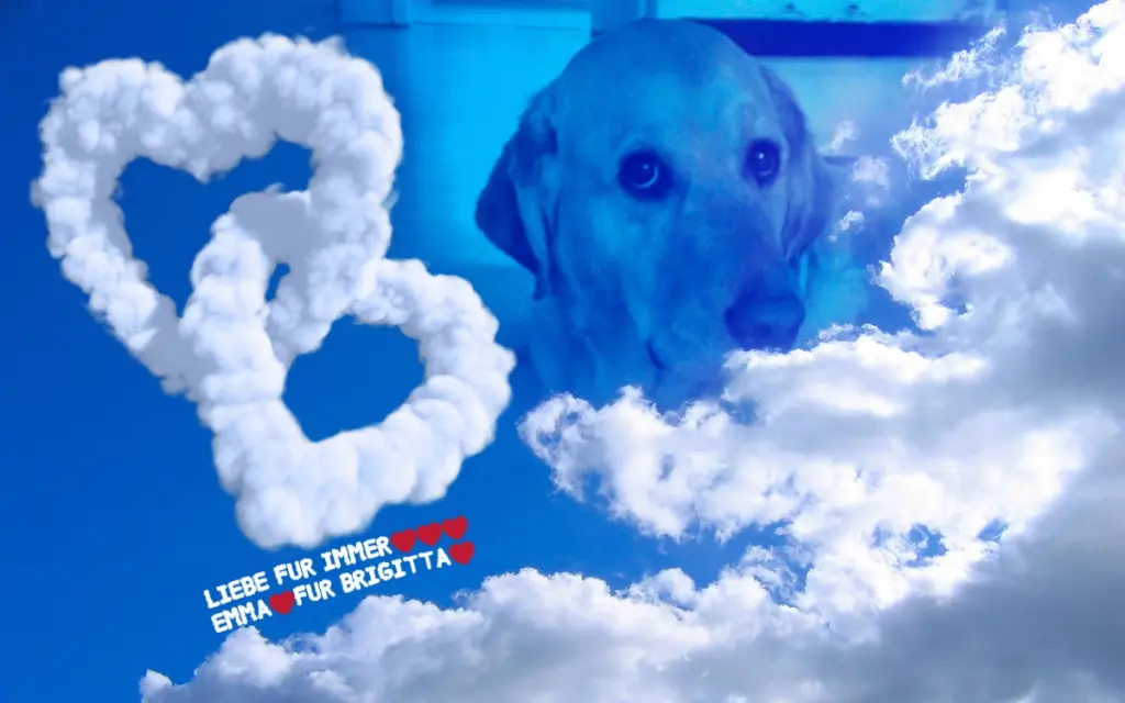 Andachtsbild von ❤️❤️❤️