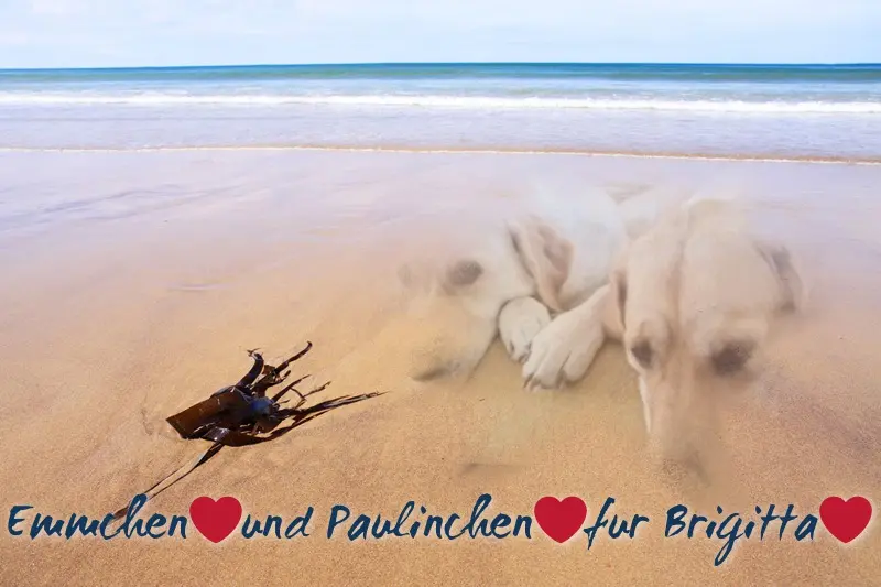 Andachtsbild von ❤️❤️❤️