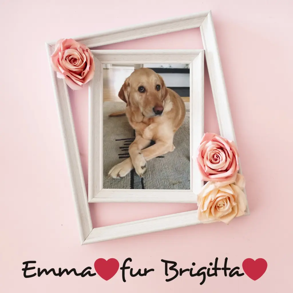 Andachtsbild von ❤️❤️❤️