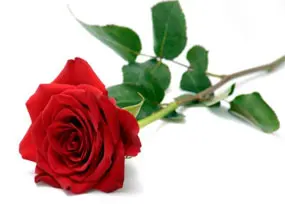 Andachtsbild von Brigitta