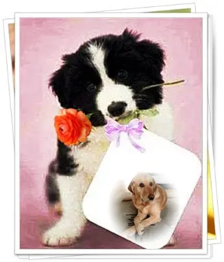 Andachtsbild von ❤️❤️❤️