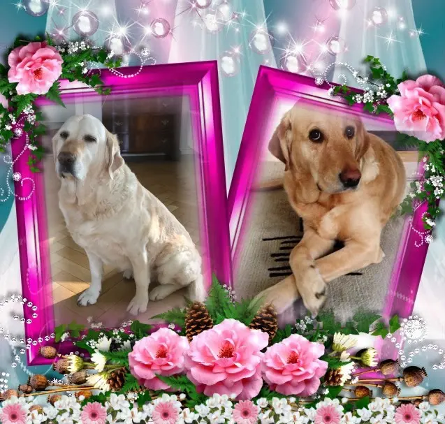 Andachtsbild von ❤️❤️❤️