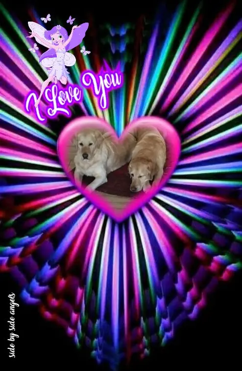 Andachtsbild von ❤️❤️❤️