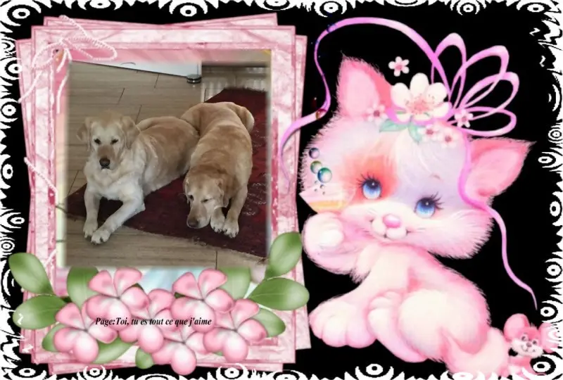 Andachtsbild von ❤️❤️❤️