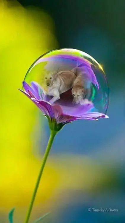 Andachtsbild von ❤️❤️❤️