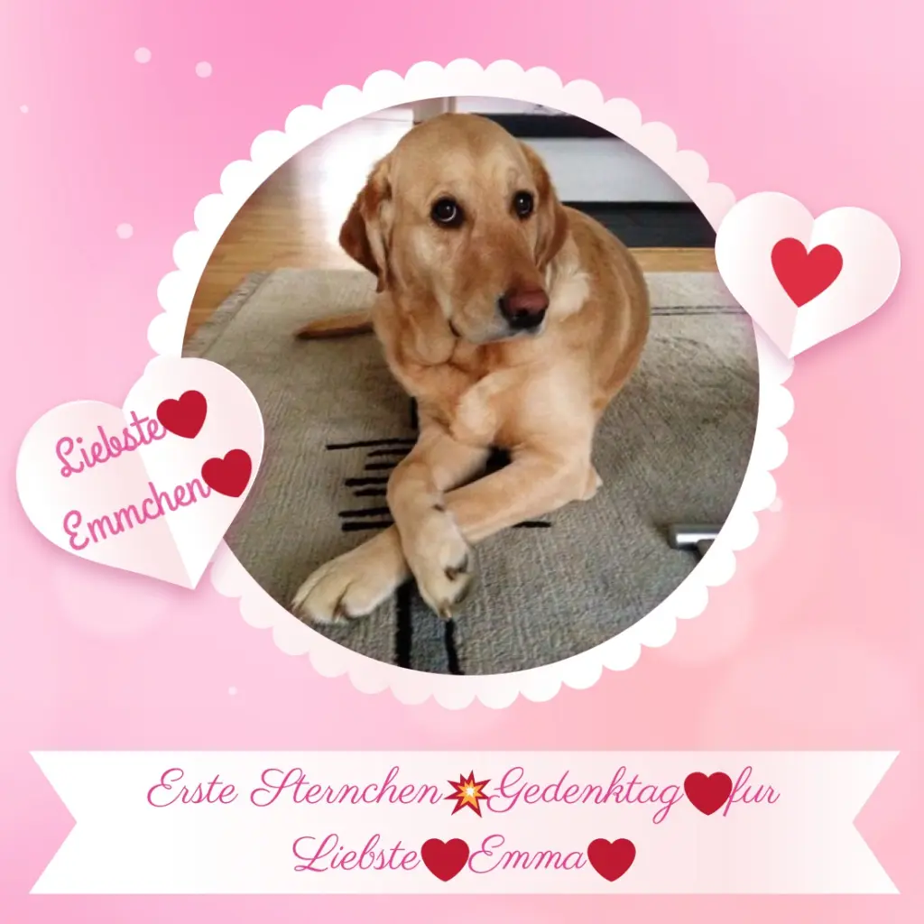 Andachtsbild von ❤️❤️❤️