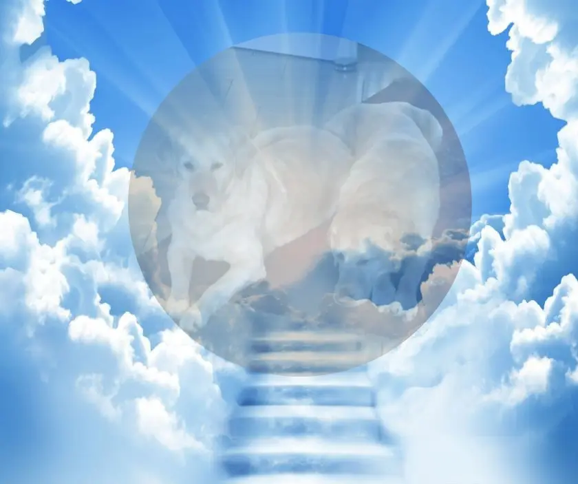 Andachtsbild von ❤️❤️❤️