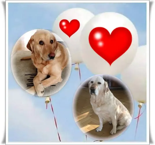 Andachtsbild von ❤️❤️❤️