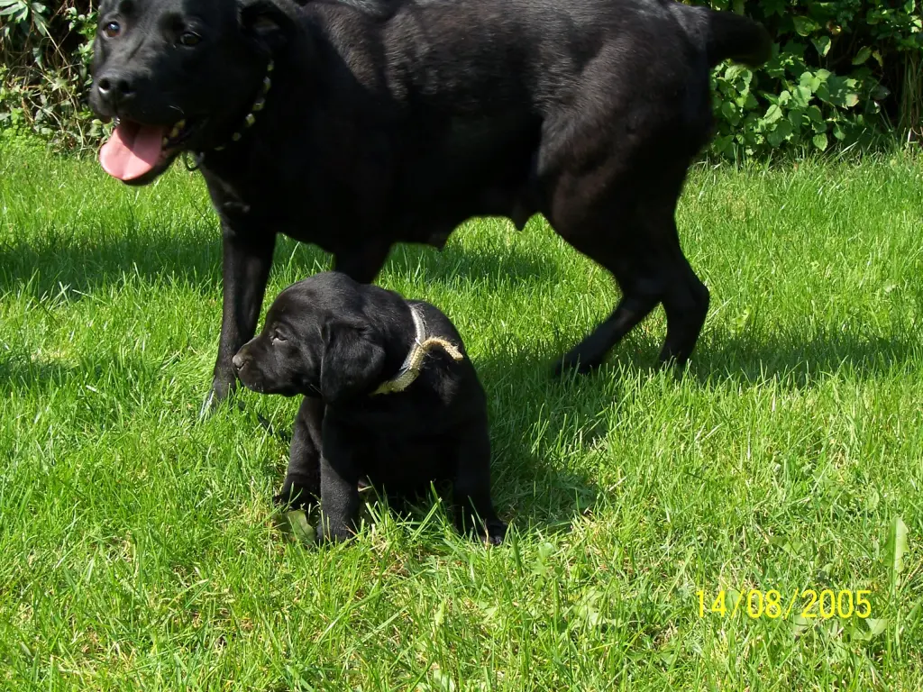 Andachtsbild von Unbekannt