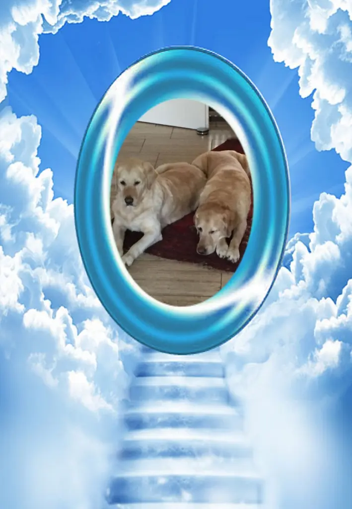 Andachtsbild von ❤️❤️❤️