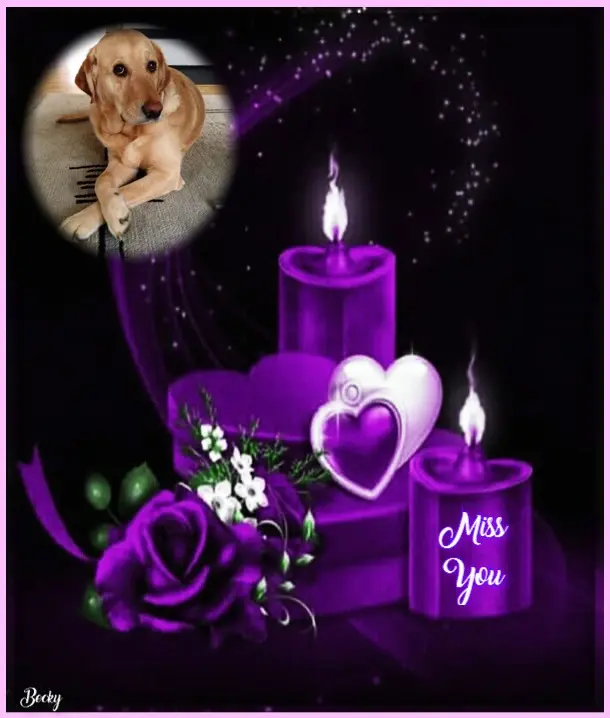 Andachtsbild von ❤️❤️❤️