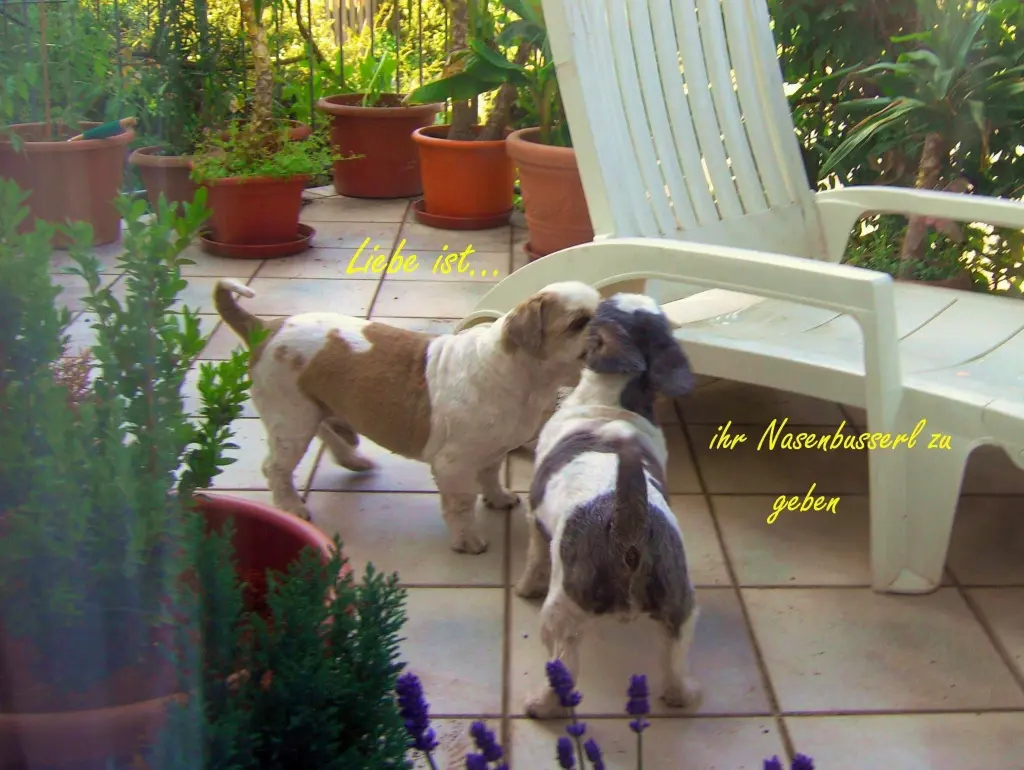 Andachtsbild von Marika mit Balou und Hippo im Herzen