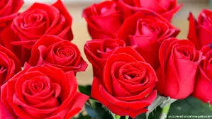 Andachtsbild von Brigitta