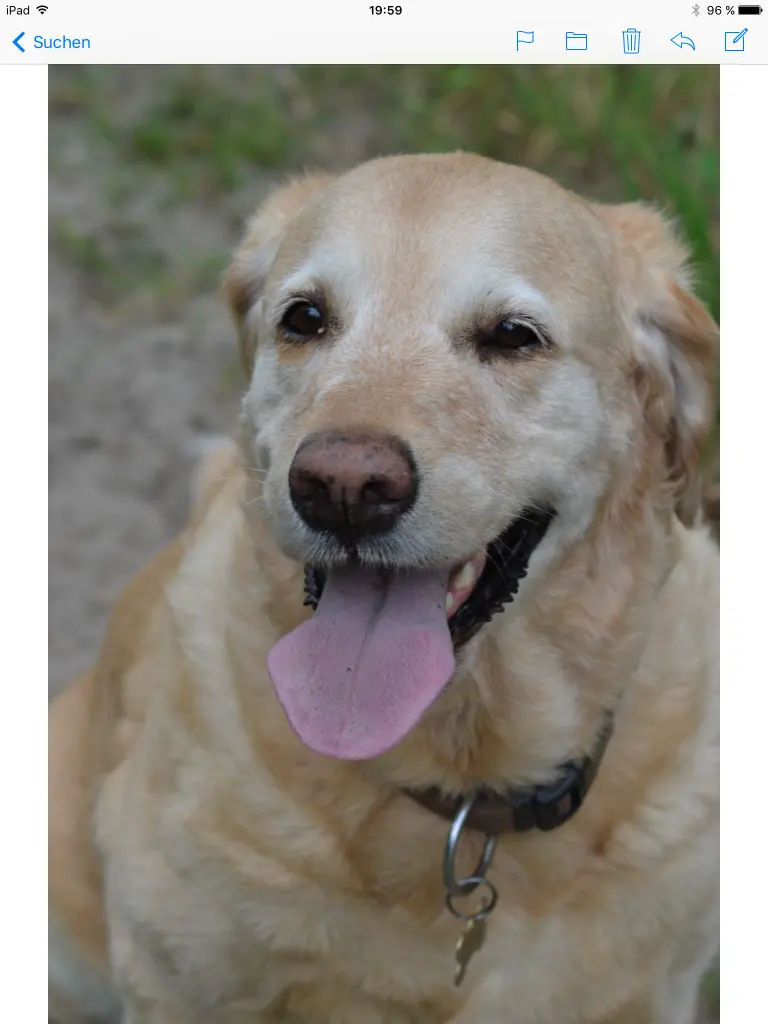 Andachtsbild von Brigitta